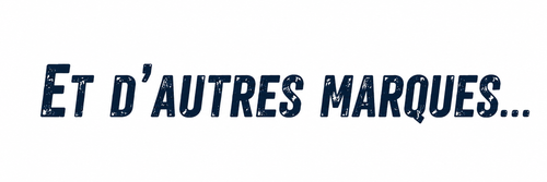 Logo de la marque proposée 3